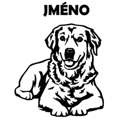 Samolepka Zlatý retriever